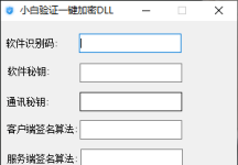 小白网络验证永久免费一键加密DLL工具1.0