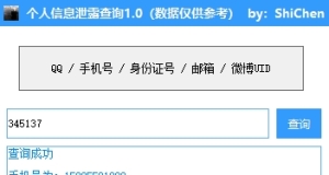 诗晨 - 个人隐私数据泄漏查询检测1.0